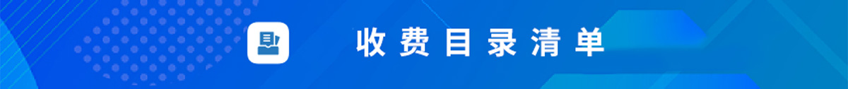 收费目录清单
