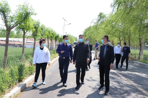 副区长赵淑新到宁家埠街道检查督导小麦条锈病防控及设施农业大棚生产工作