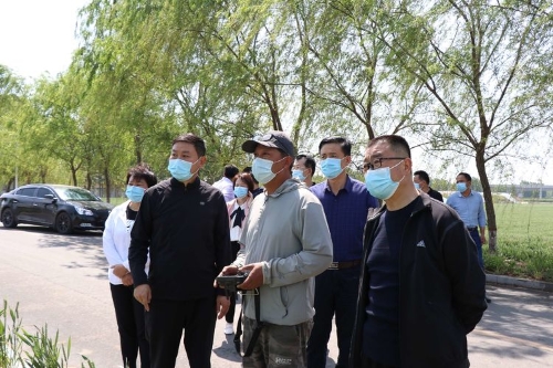 副区长赵淑新到宁家埠街道检查督导小麦条锈病防控及设施农业大棚生产工作