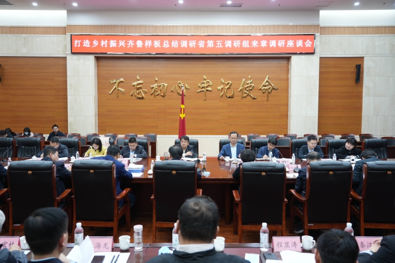 打造乡村振兴齐鲁样板总结调研省第五调研组来我区调研
