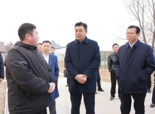 马志勇带队调研乡村振兴工作